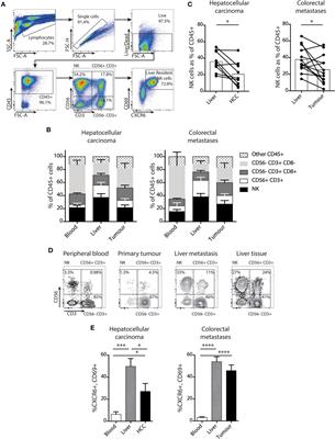 IL-15 Overcomes Hepatocellular Carcinoma-Induced NK Cell Dysfunction